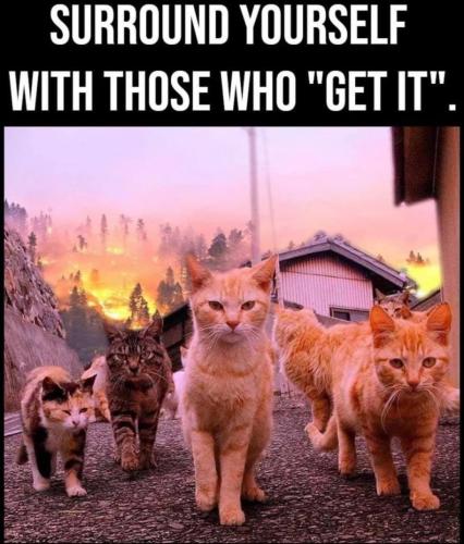 photo_2021-04-19_15-04-24