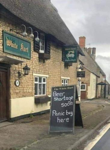 photo_2021-09-24_22-55-26