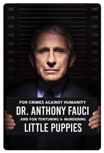 Fauci - Arrest him