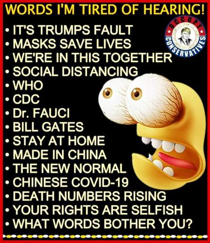 Tumblr_l_22429640526286