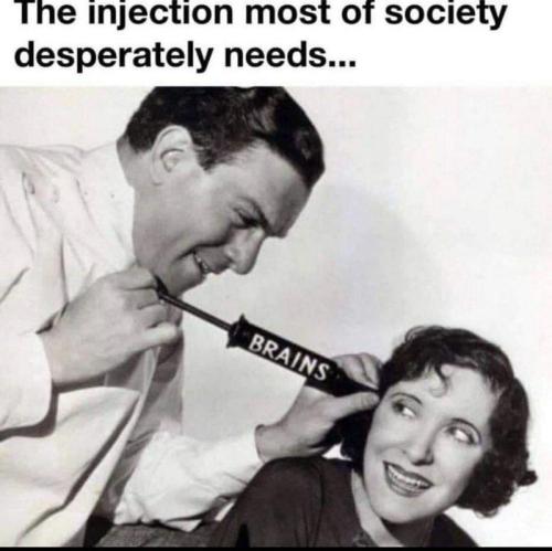 brains