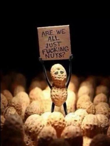 711AB2E2-6750-423D-A79E-CA4446FACC00