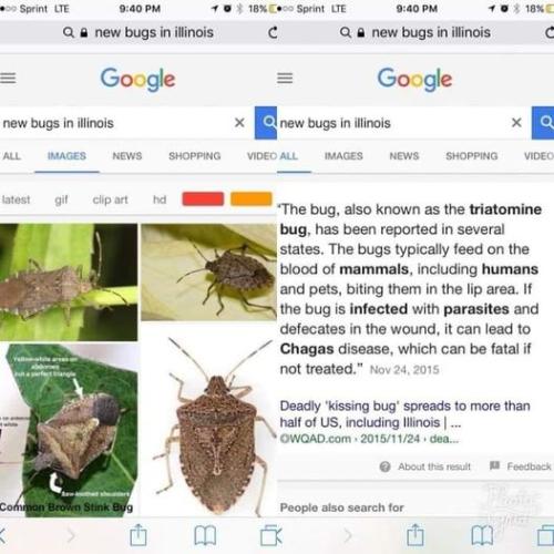 121085078_10161410400164619_5663175291591318480_n