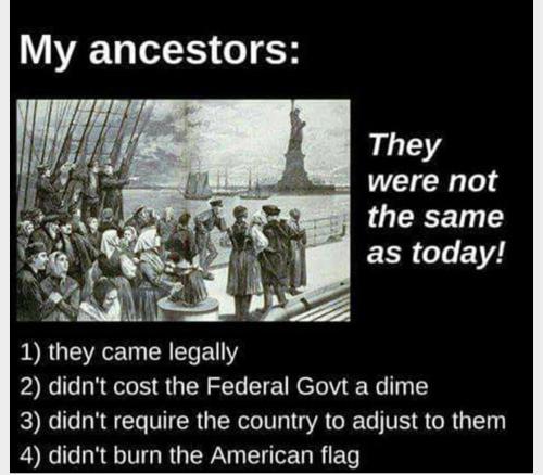 my ancestors