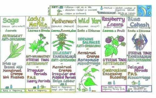 qYHZsEd9kByWsm89n3wX_11_aec5eba846446e3c445f6afc6858d2bc_image