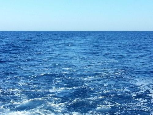 share3291117487785747696