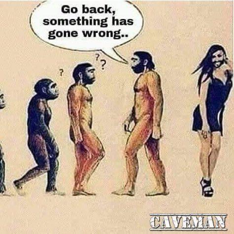 go back
