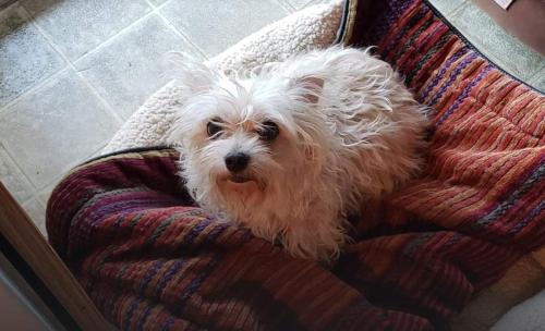 Screenshot_20210926-124414_Photos