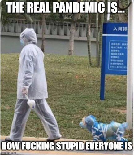 CF723C58-B739-41E4-952D-79D4CB29E013