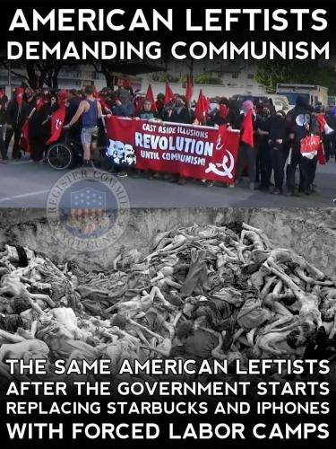 9013781E-85E6-4375-9512-F7974E8D8F76