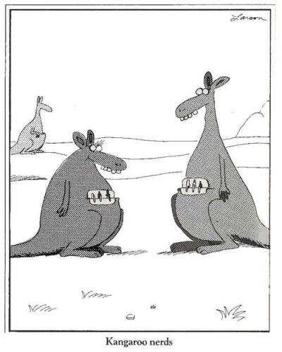 Kangaroo Nerds