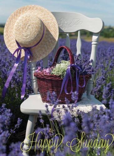 9f6dbdfb-fc77-4bfe-9771-a4c6b665ceb2