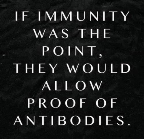 89B02F31-F2E4-4625-AF0E-2874D42A3891