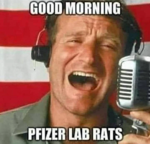 M lab rats