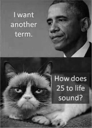 AE6A59BB-F3E3-4C9D-9636-936644112D40