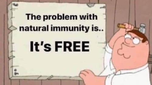 987c6a687d6c52ea89b6ce0ee9c0222b