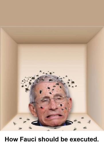 xephula_0f9b67bf21ff05beef92cd3e1f85dc09