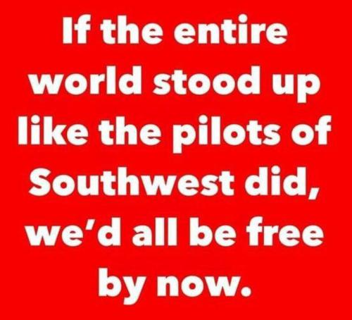 245812574_1518648798500743_3544209351519303461_n