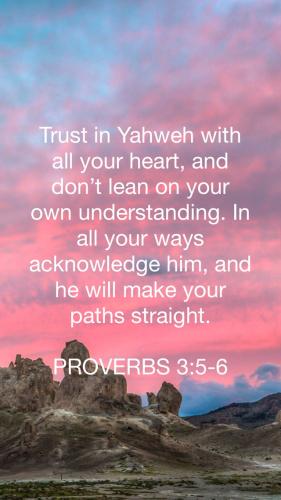 FB8B6B46-CCDE-4D49-AE43-47FD0F219C06