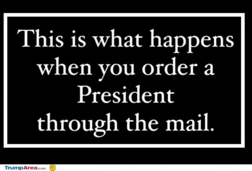 mailorder president
