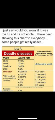 image_1635072950.667