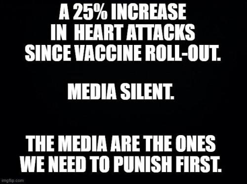 image_1635340791.297