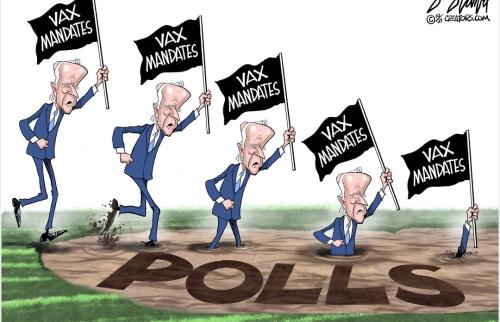 Screenshot_20211023-121545__01