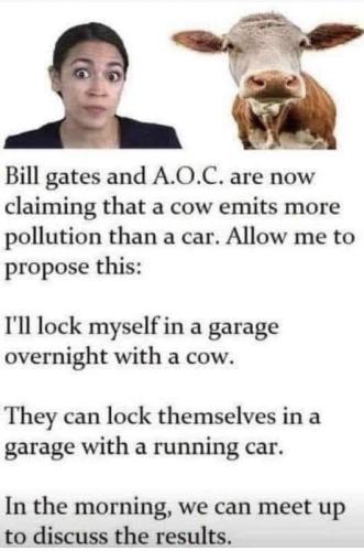 cow