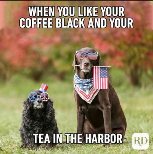 Tumblr_l_23011389963981