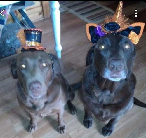 Screenshot_20200915-143948_Contacts