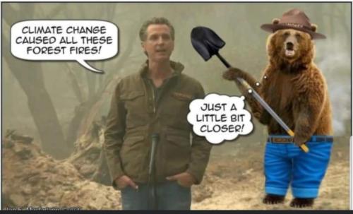 image_1635626950.778