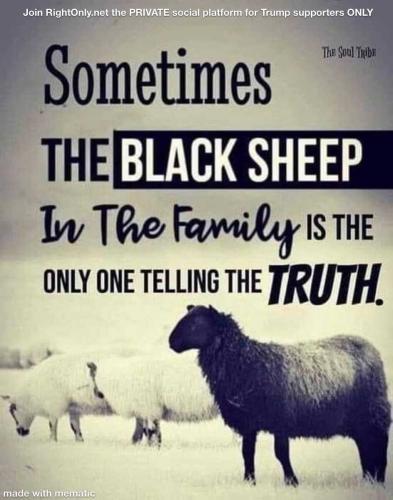 vYdWFblihhLBNR11nVUE_08_aa2063474ca9333e4379e2c97462d065_image