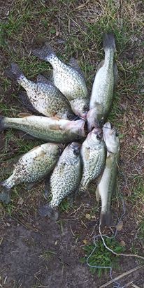 71182180_126533405407766_6652124920903892992_n-1