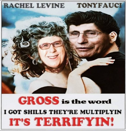 YxRCYIKikCAxChh2REmO_url_image