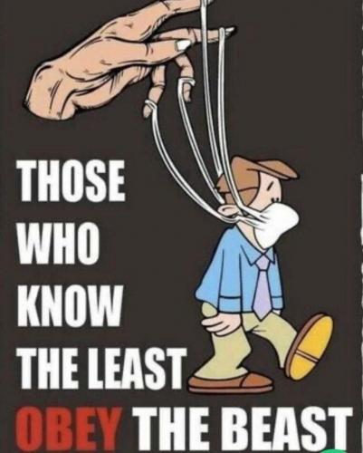 IMG_20211004_110509_558