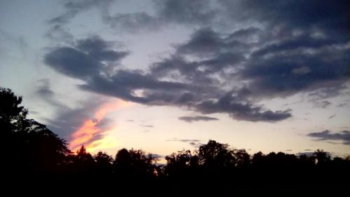 244079181_241437301296690_7892575759833957192_n