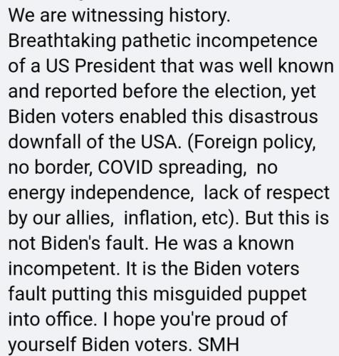 Biden Voters Fault