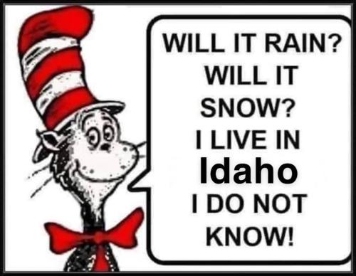 73311271_10157429674192870_556235102766497792_n