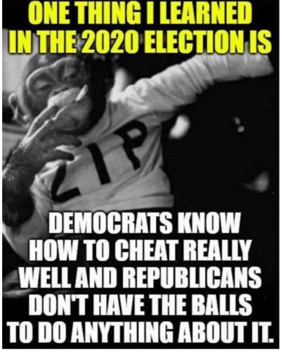 2020election