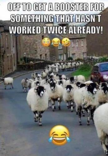 C3E4E10A-0EED-4A05-B443-567D6B0E0D6C