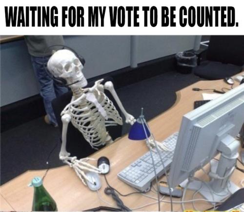 Skeleton Vote Count