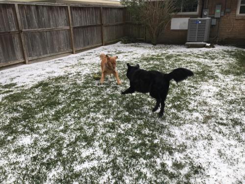 F803B639-853E-4AE9-9B31-195E9B7C4A1F