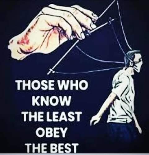 FB_IMG_1635556647977