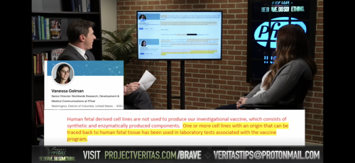 7B2D1B2C-5897-4B57-8932-7F5BF15EA229