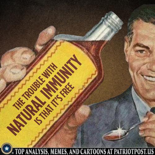 01FHWWH8CV11ABVGGVWEX2TM23