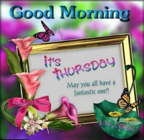 Screenshot_20210908-161836_Gallery