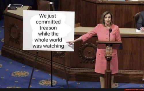 naziptreason