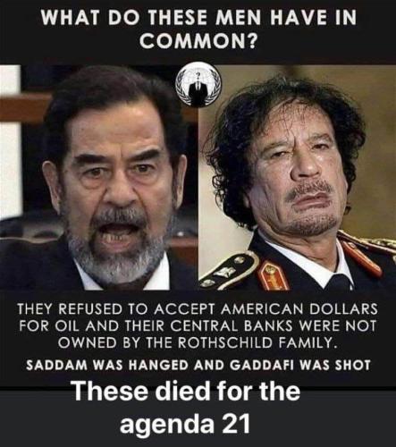 image_1635682356.881