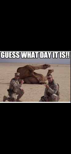 1387A148-D86D-4C4B-B700-ED1181AB8192