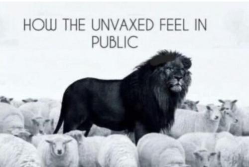 Screenshot_20211012-163814_DuckDuckGo